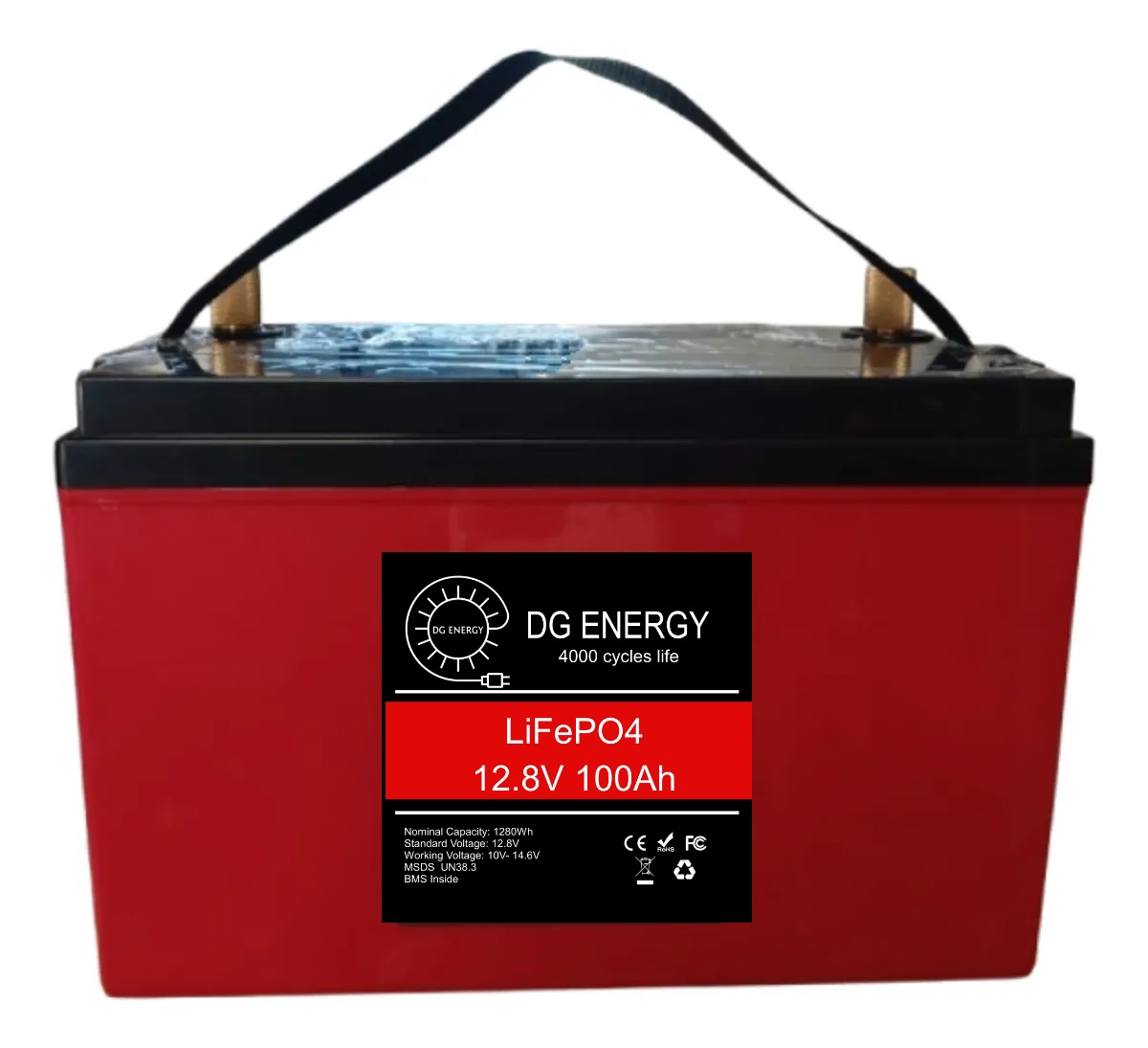 Batería Litio Lifepo4 12v 100a Con Bms