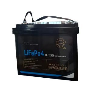 Batería Litio Lifepo4 12v 100a Con Bms 3000 Ciclos