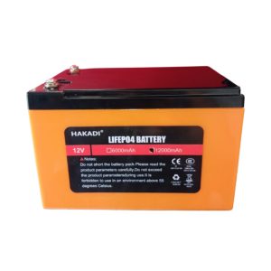 Batería Litio Lifepo4 12v 12a Con Bms